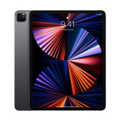 iPad Pro 5. gen. - 12,9" (2021 early)